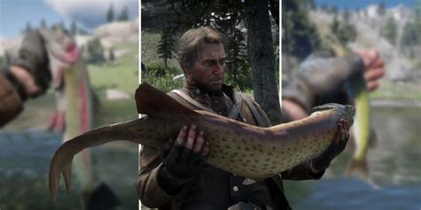 rdr2 where to sell fish|Red Dead Online: Most Profitable Fish .